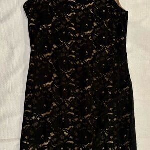 New York &Company Elegant Black Lace Dress with Gold Lining